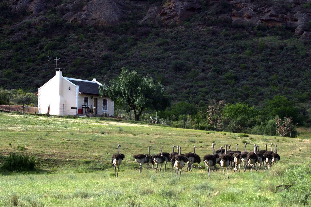 Red Stone Hills Villa Buffelskloof Exterior foto